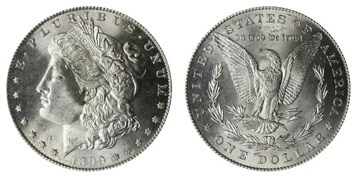 The 1899 Morgan Silver Dollar