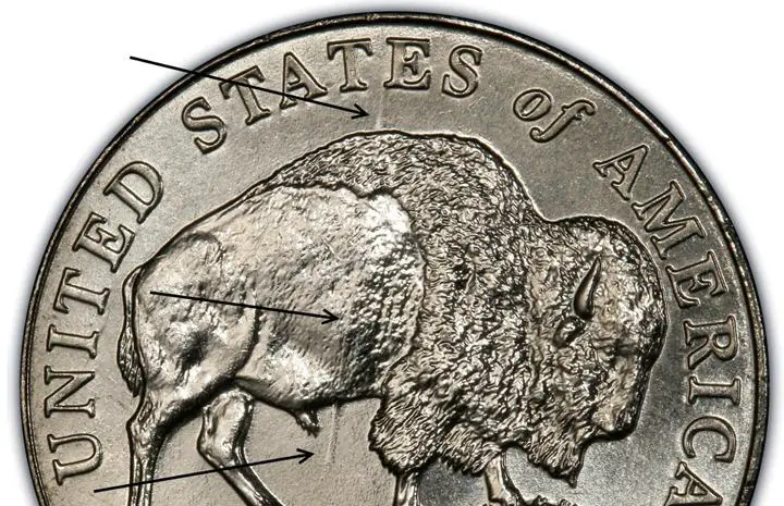 D Speared Bison