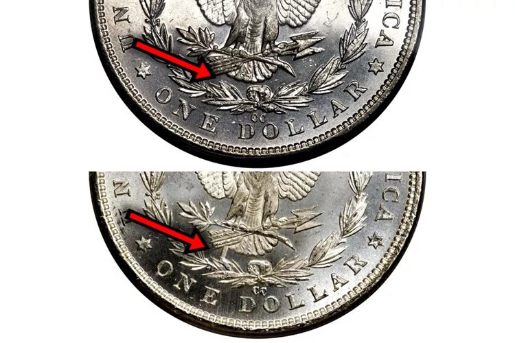 What are VAM Morgan Dollar Coins