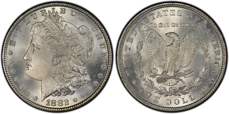 1882 Morgan Silver