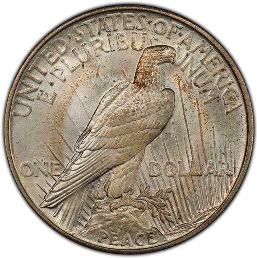 1921 Peace Silver Dollar Reverse